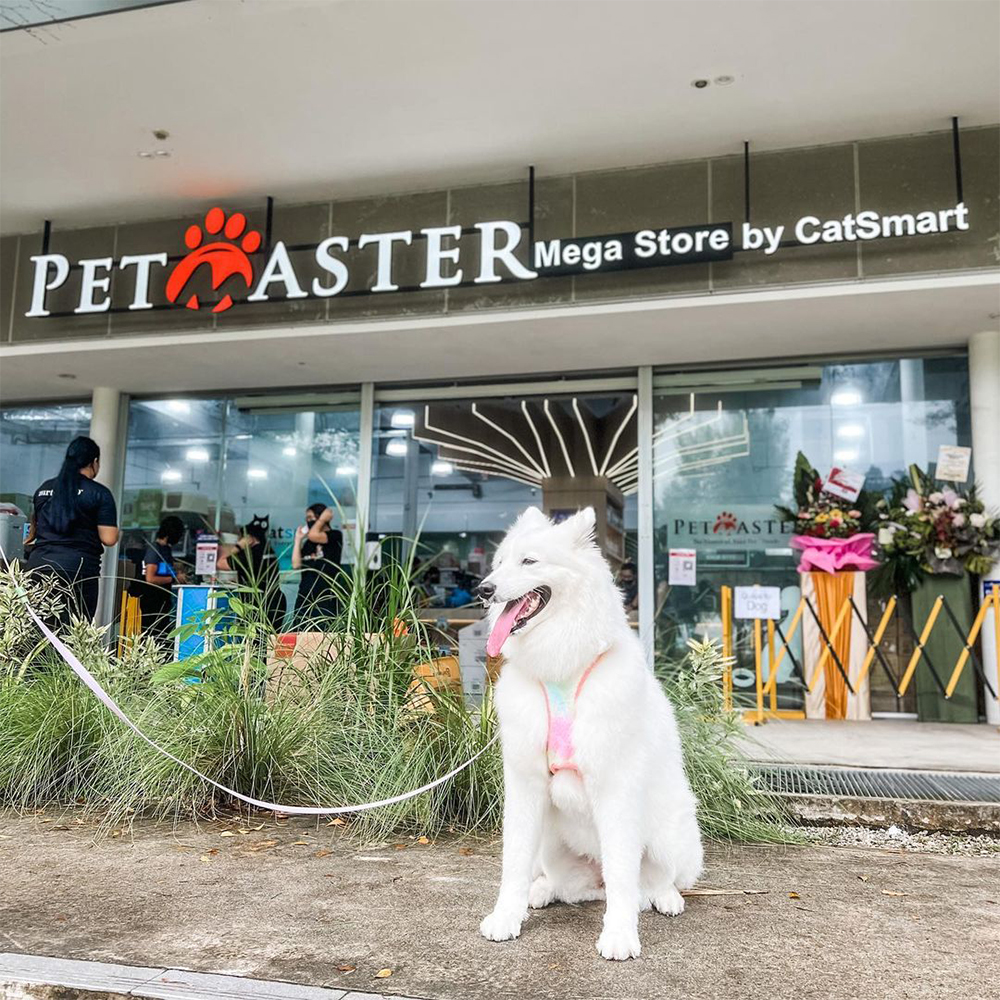 Photo of Pet Master Mega Store In-store